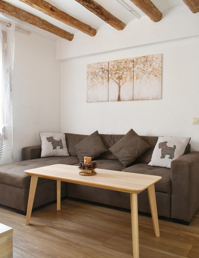 Apartament Turístic Campdevànol Extérieur photo